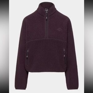 ARITZIA Polartec Thermal Pro 1/2 Zip Hip Fleece Sweater in Noble Size Medium